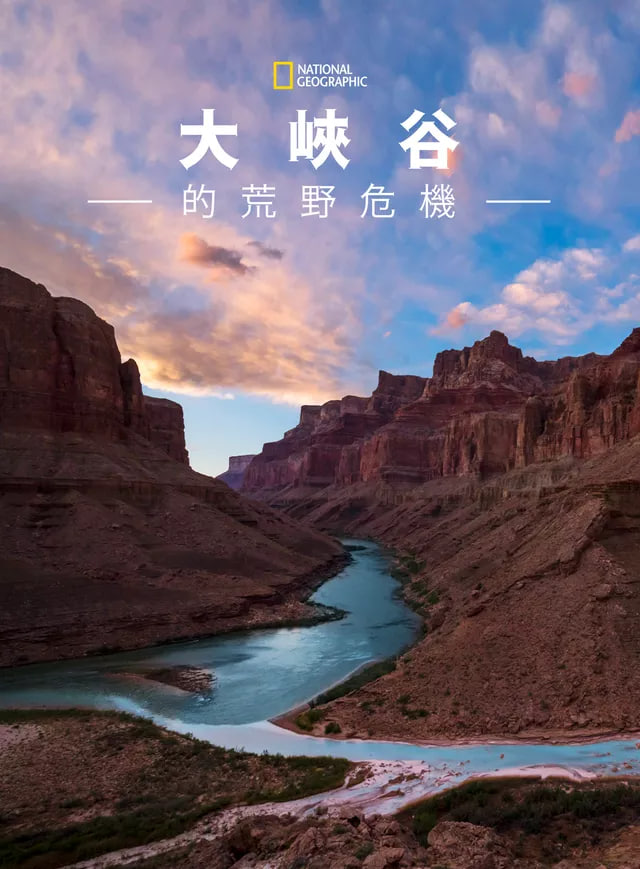 大峡谷的荒野危机