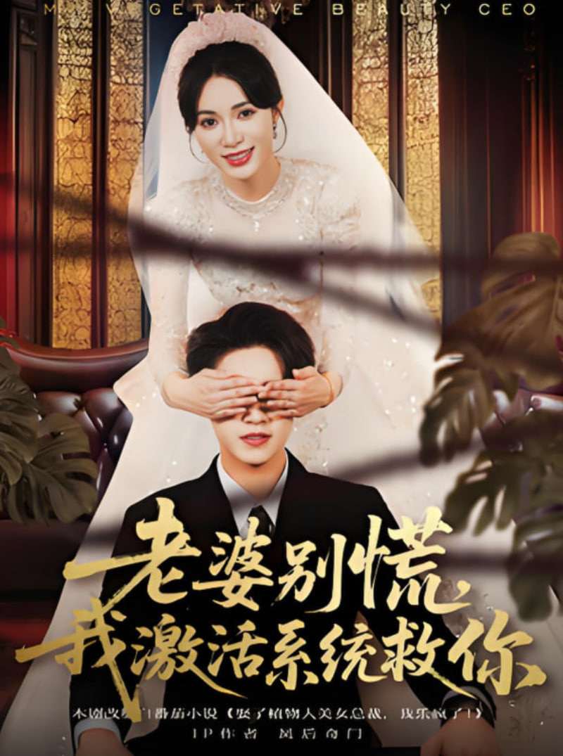 老婆别慌，我激活系统救你