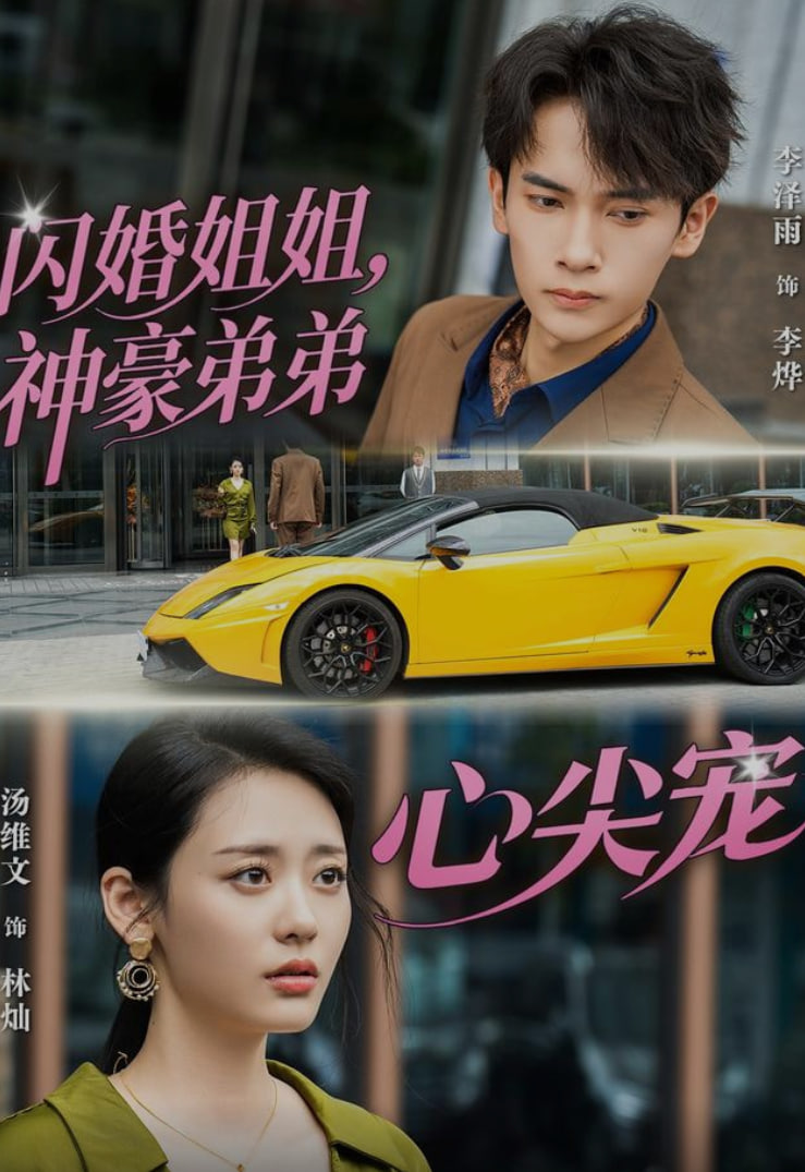 闪婚姐姐，神豪弟弟心尖宠