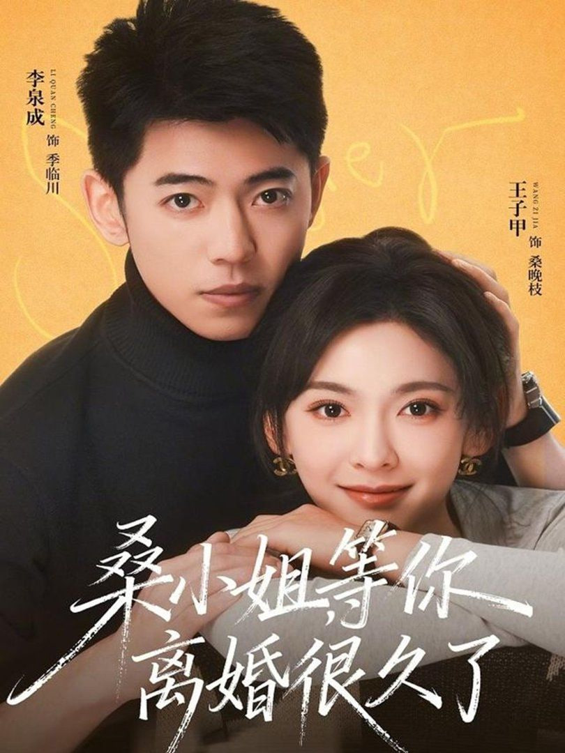 桑小姐，等你离婚很久了